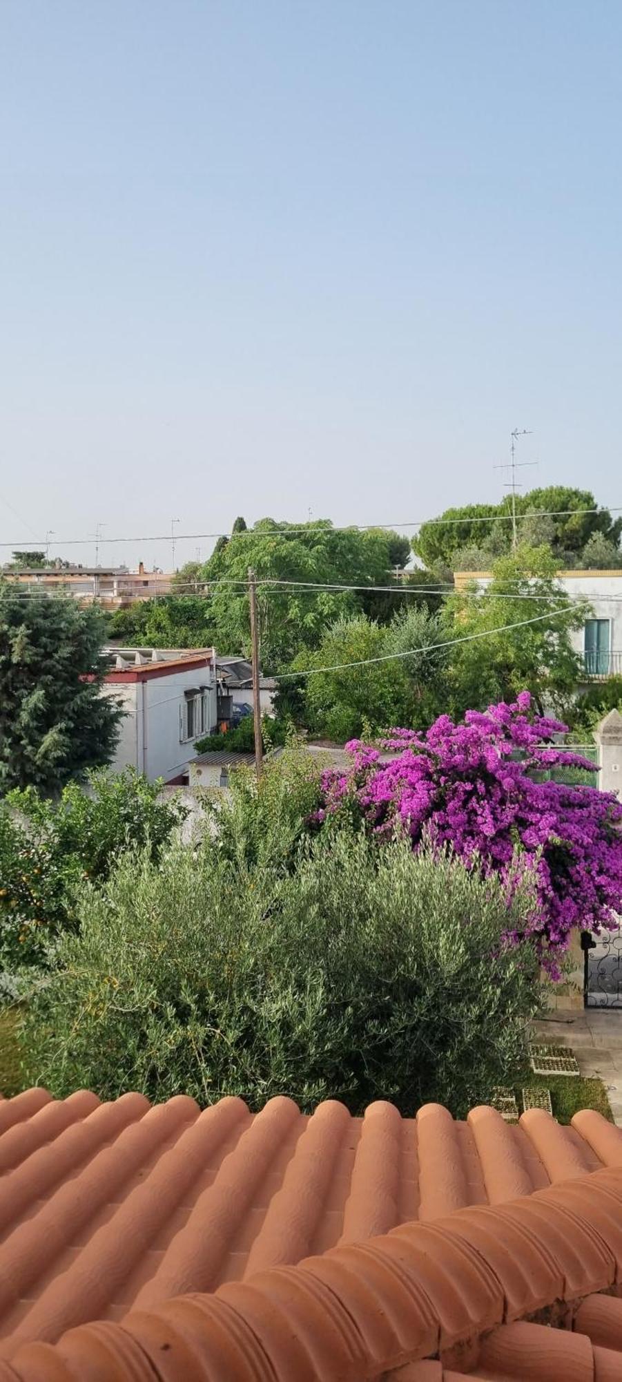 בארי Villa Guajira מראה חיצוני תמונה