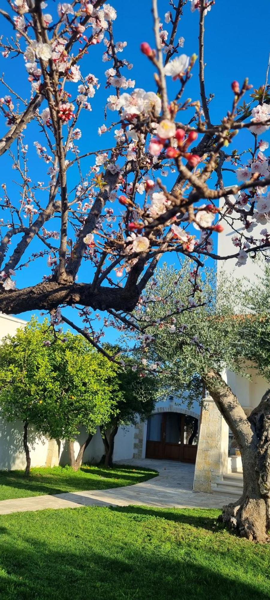 בארי Villa Guajira מראה חיצוני תמונה
