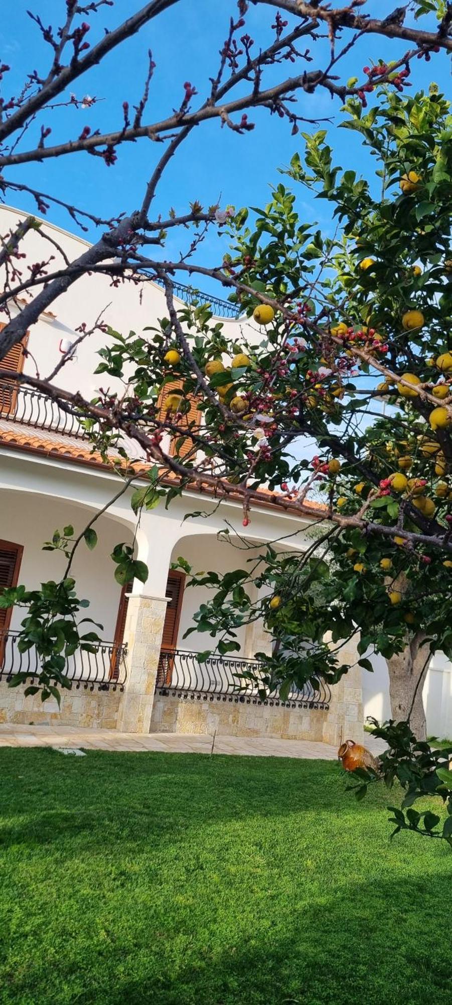 בארי Villa Guajira מראה חיצוני תמונה