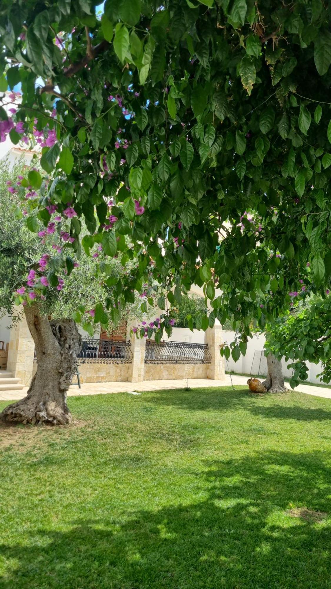 בארי Villa Guajira מראה חיצוני תמונה