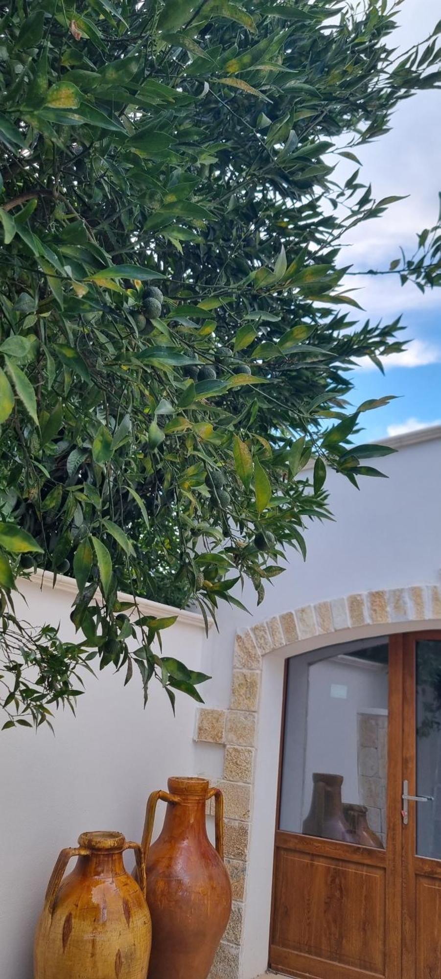 בארי Villa Guajira מראה חיצוני תמונה