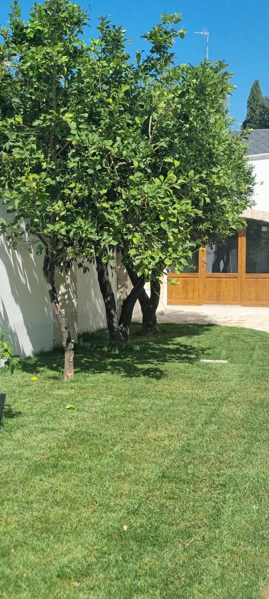 בארי Villa Guajira מראה חיצוני תמונה