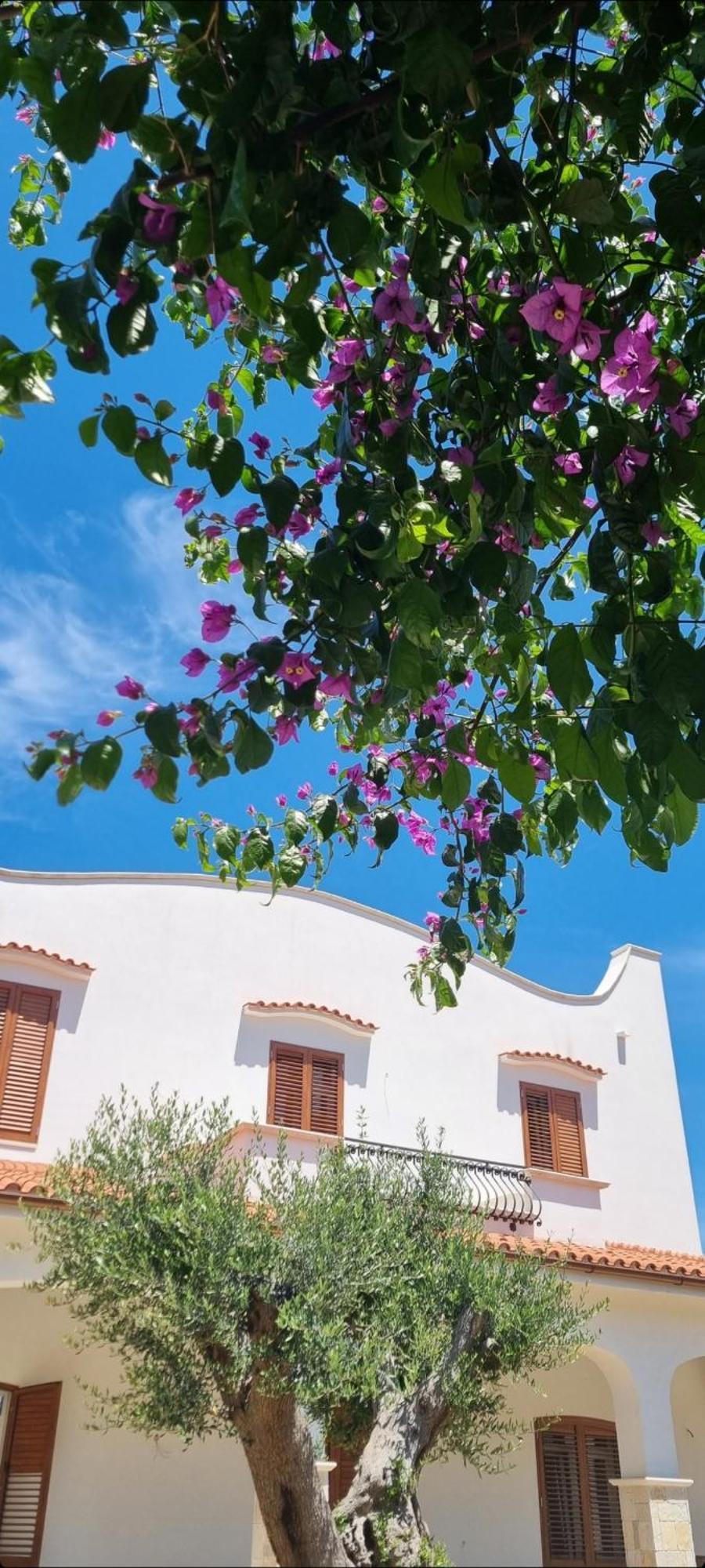 בארי Villa Guajira מראה חיצוני תמונה